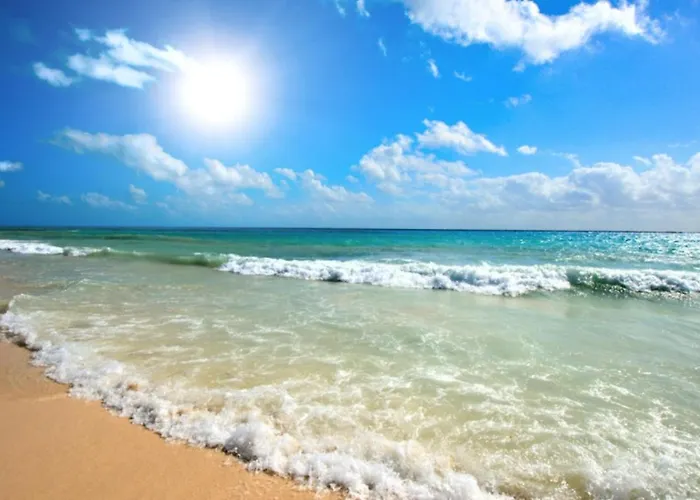 Anita A3 Cosy Sunny * Sunny Beach